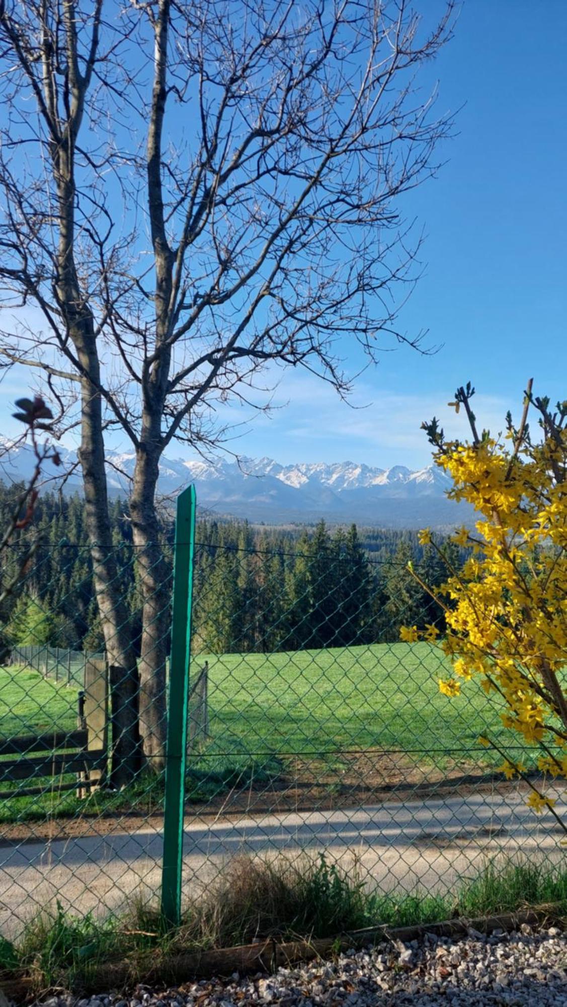 Panoramiczny Wierch Rzepiska Dış mekan fotoğraf