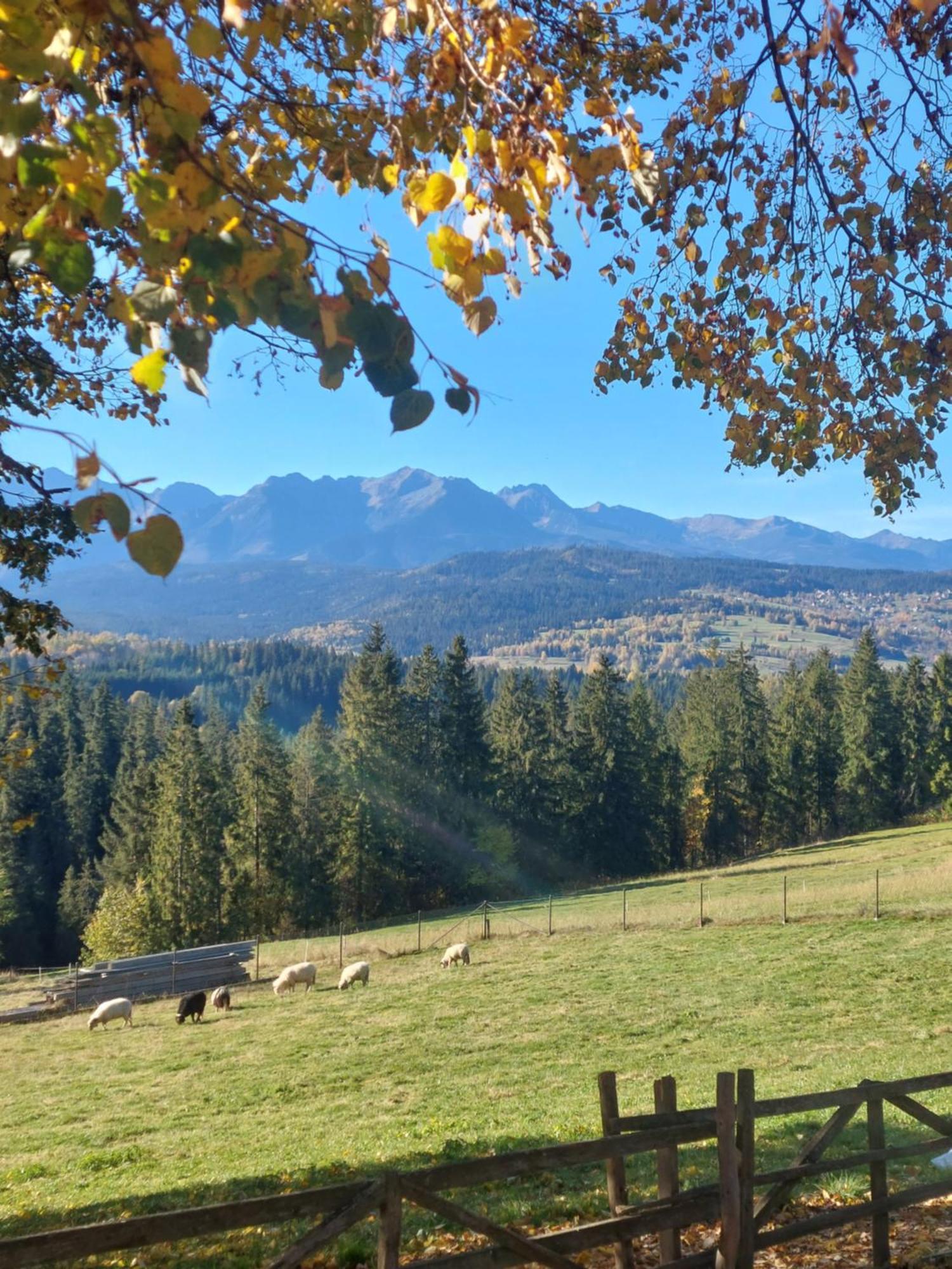 Panoramiczny Wierch Rzepiska Dış mekan fotoğraf